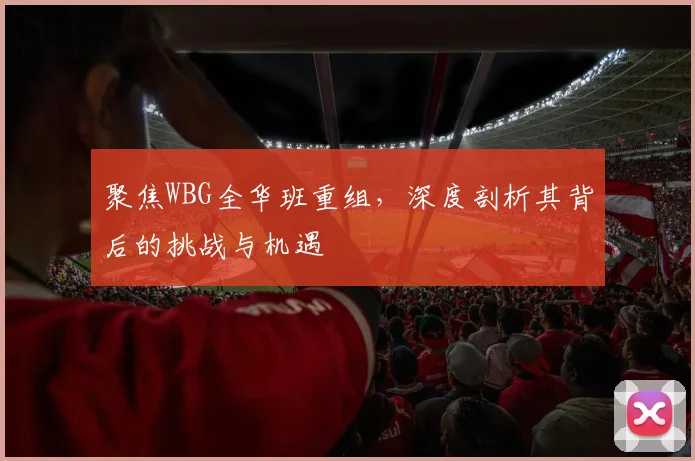 聚焦WBG全华班重组,深度剖析其背后的挑战与机遇