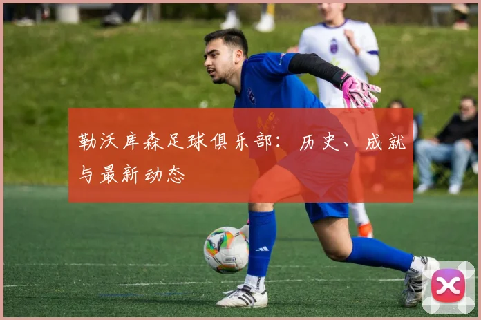 勒沃库森足球俱乐部：历史、成就与最新动态