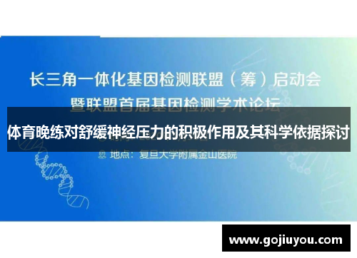体育晚练对舒缓神经压力的积极作用及其科学依据探讨